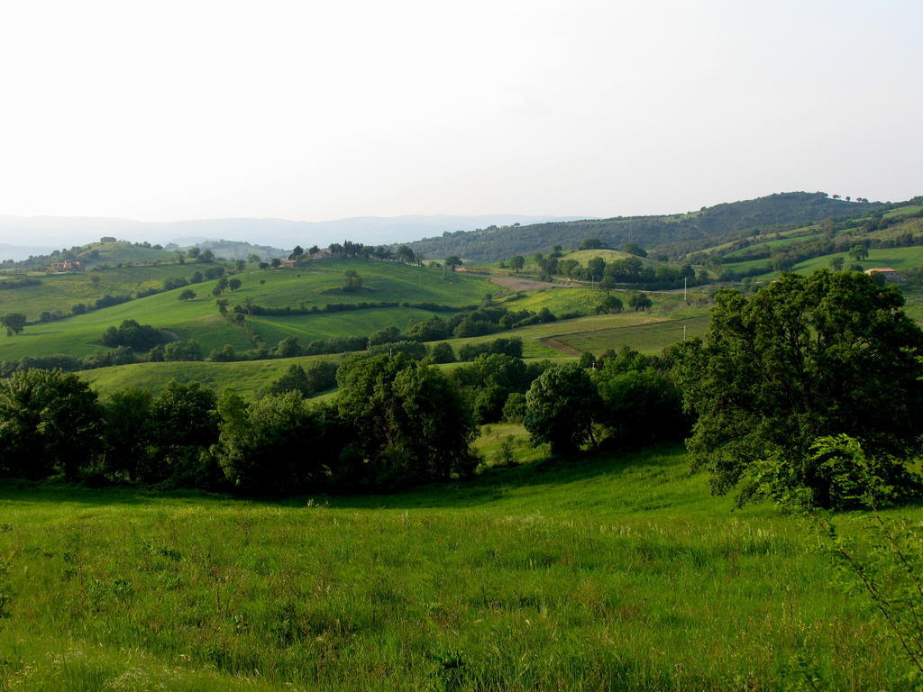 Poggio Della Quercia Villa Manciano Luaran gambar